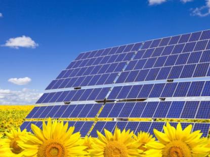 B&aacute;o c&aacute;o v&agrave; kết quả cuộc họp thường trực ch&iacute;nh phủ về điện lưới mặt trời
